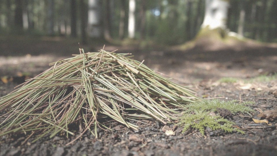 Jakie są sposoby na recykling igliwia?
