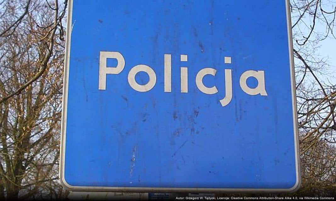 Festiwal Zawodów w Zielonej Górze – Policja Promuje Swoją Służbę